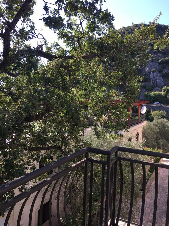Villa Julia Petrovac Dış mekan fotoğraf