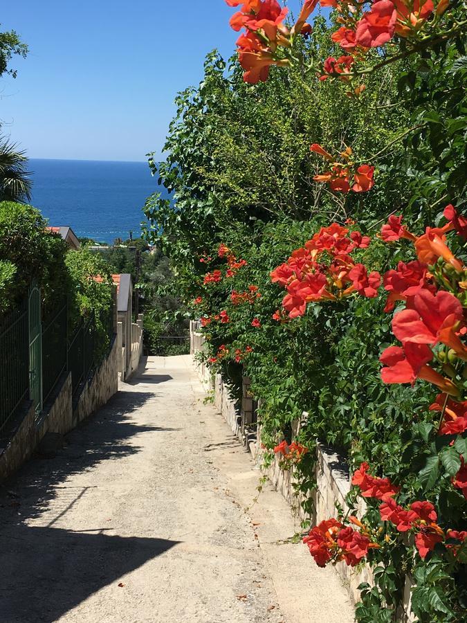 Villa Julia Petrovac Dış mekan fotoğraf
